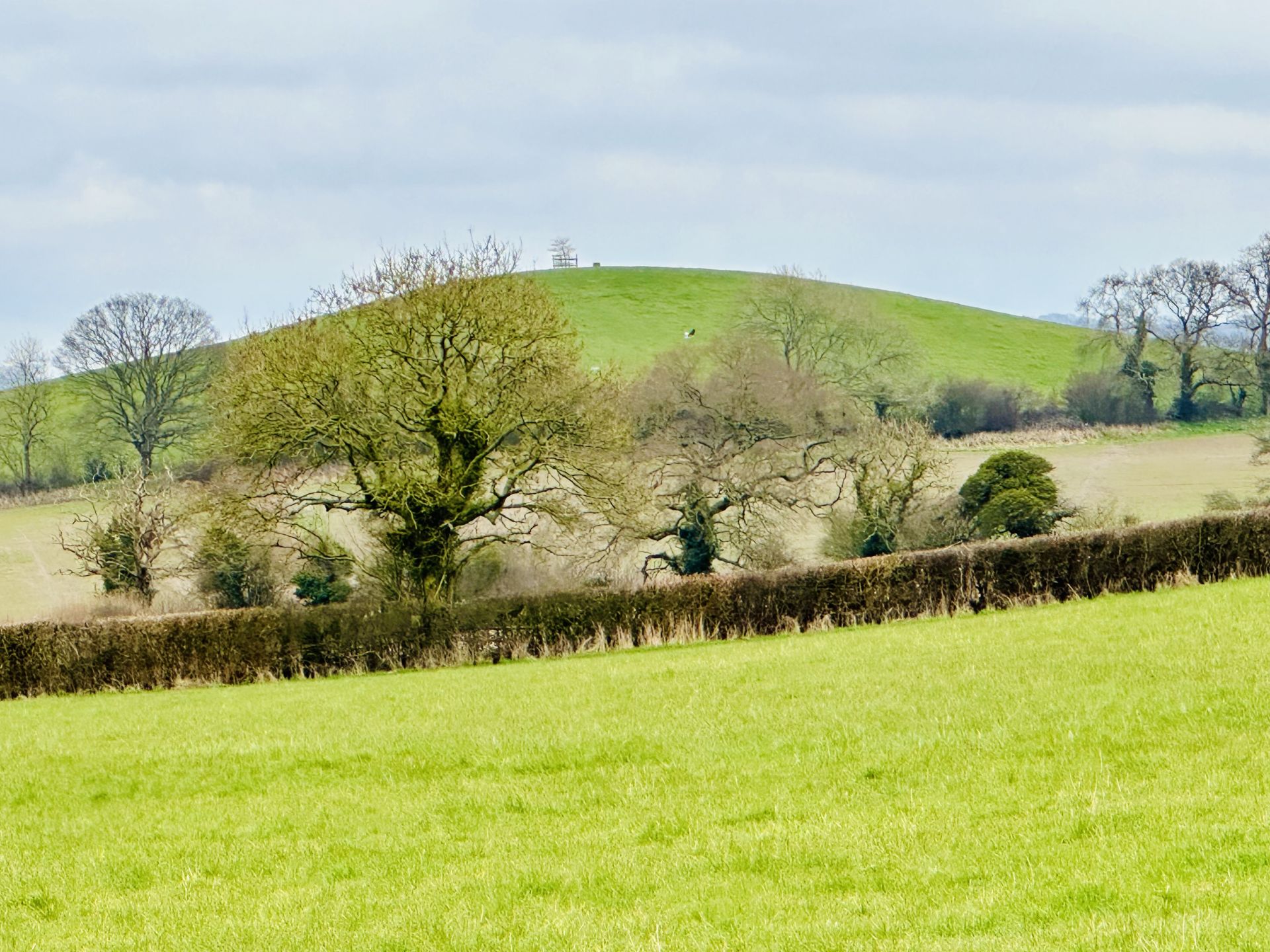 View from the Timsbury walk